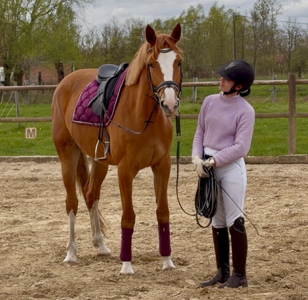 Talentvolle 3-jaarse merrie, Animaux & Accessoires, Chevaux, Jument, Débourré, 165 à 170 cm, 3 à 6 ans, Cheval de saut, Avec pedigree