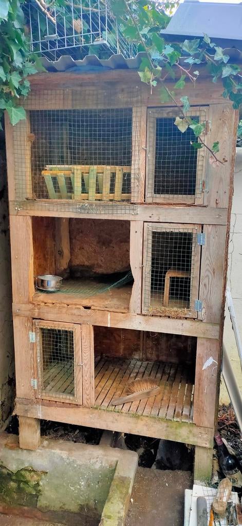 Clapier à 3 etages, Dieren en Toebehoren