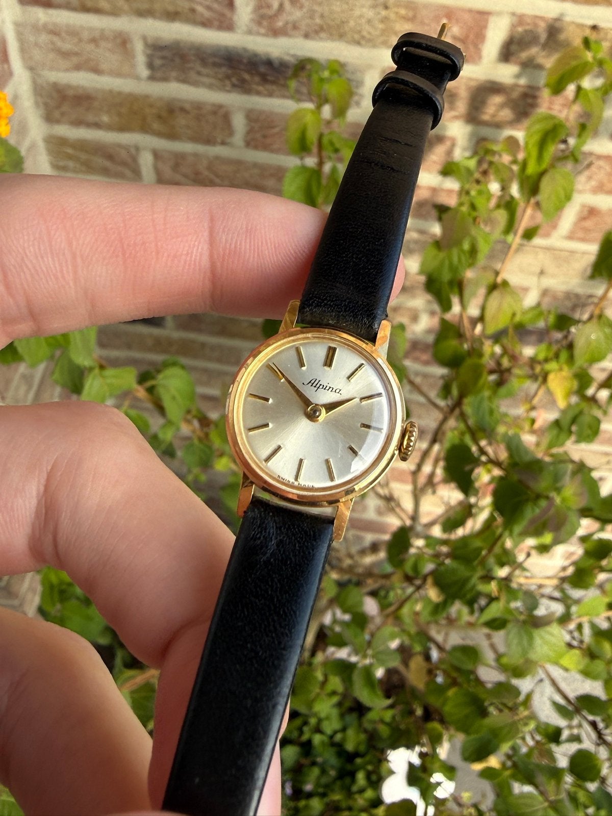 Alpina horloge, Overige merken, Leer, Polshorloge, Ophalen of Verzenden