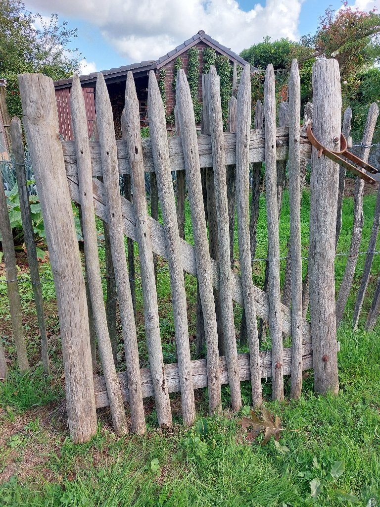 Kastanjepoort, houten omheining, 1 meter x 1 meter, Ophalen, Gebruikt