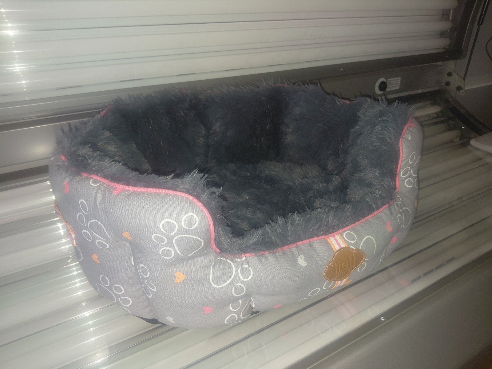 hondenmand, Animaux & Accessoires, Enlèvement, Neuf, Peluche