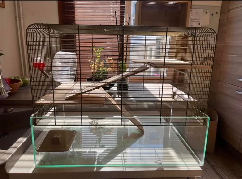 Hamsterkooi/ gerbil kooi met toebehoren, Dieren en Toebehoren, Ophalen, Kooi