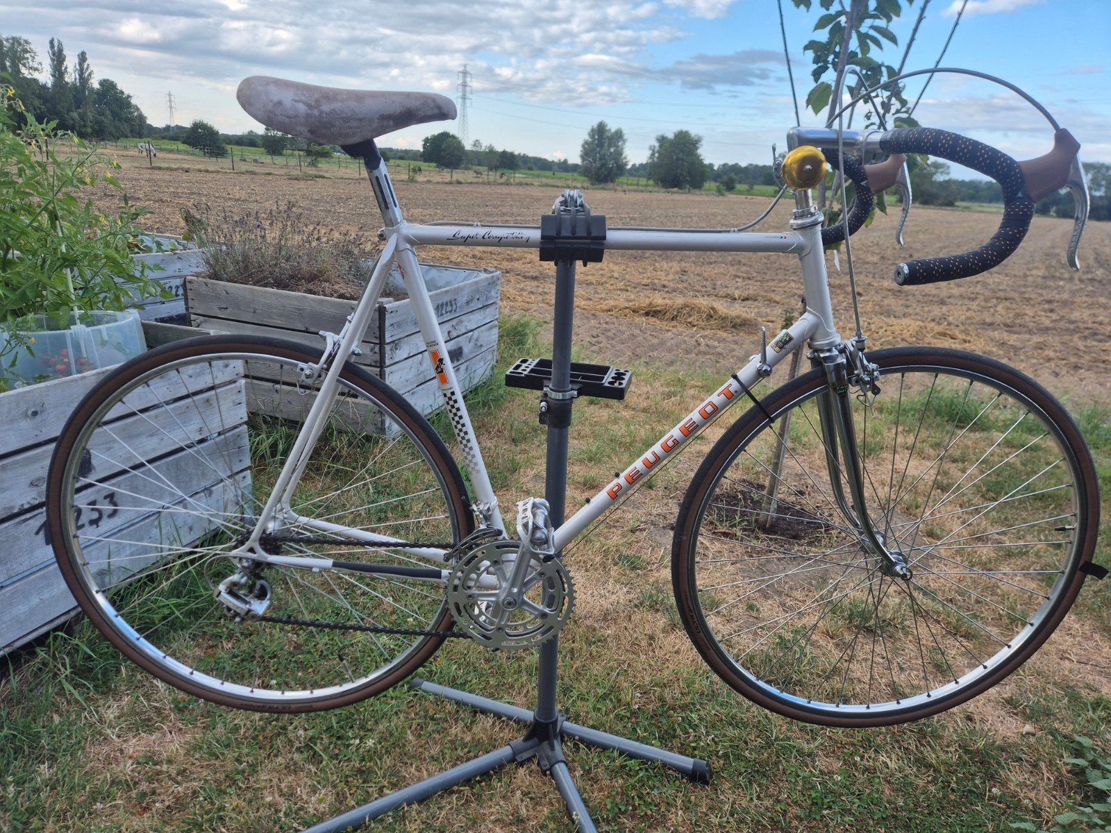 Peugeot Super Competition, Fietsen en Brommers, Ophalen