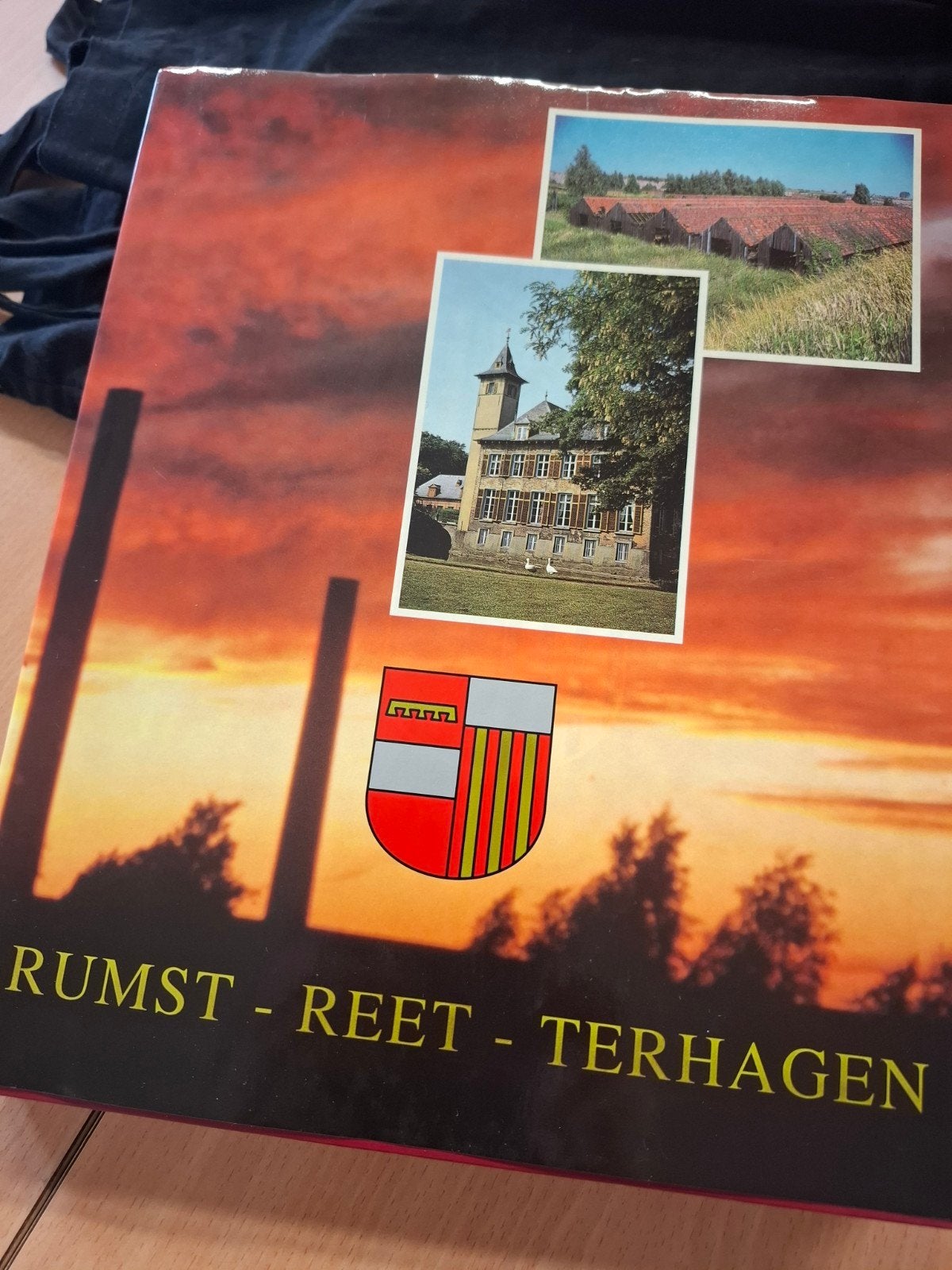 Boek RUMST Reet Terhagen , 422blz, Enlèvement