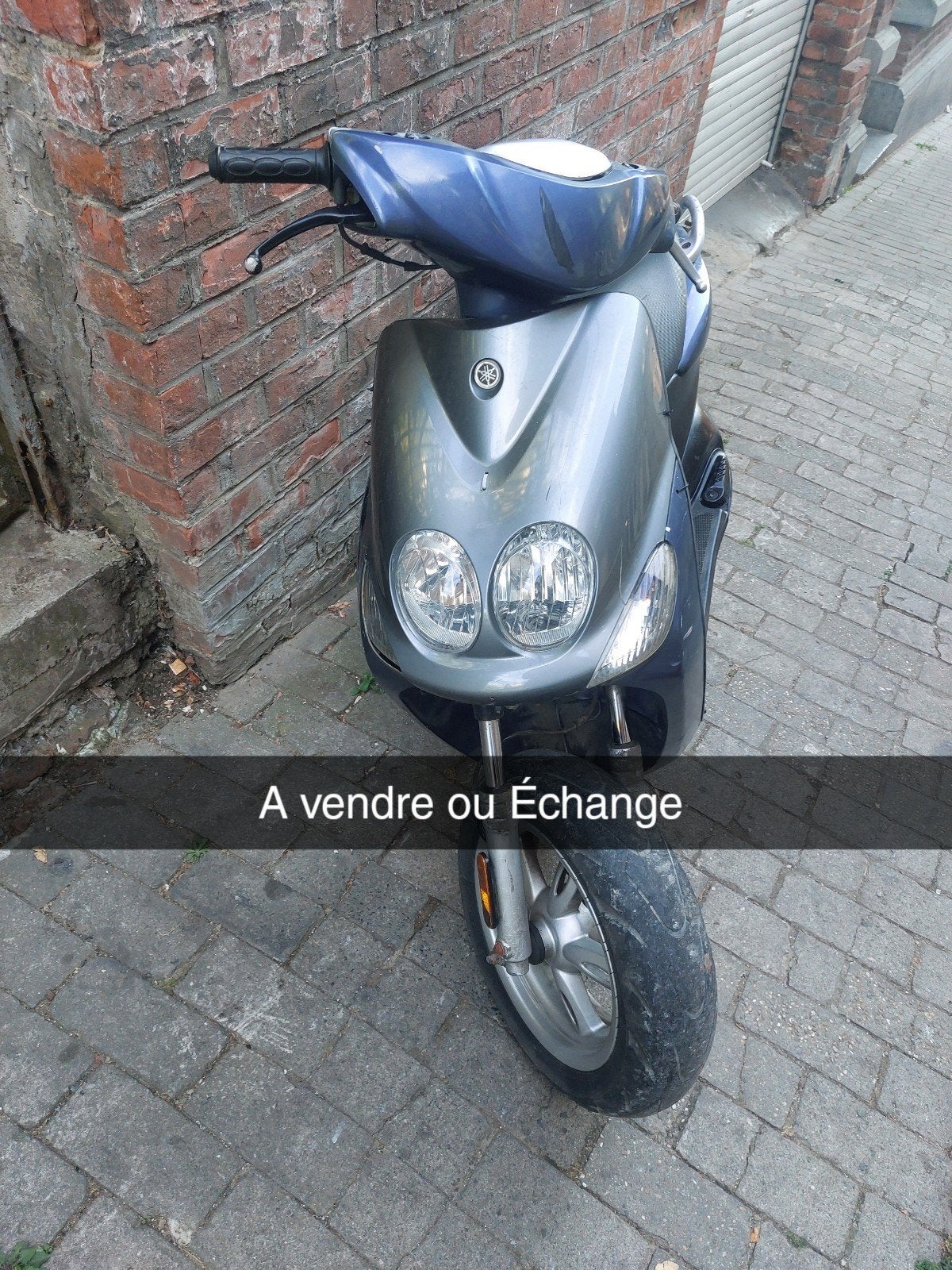 Voir ce qu'on propose en échange Pas de Clas b
Ss, Enlèvement ou Envoi
