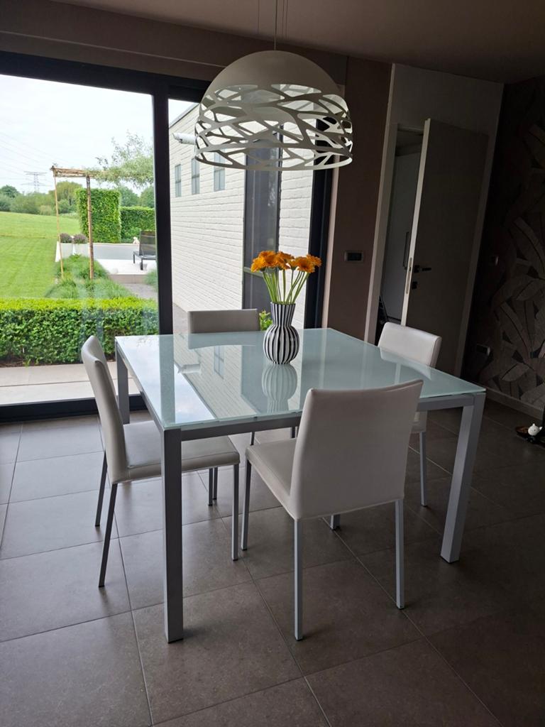 Glazen tafel met stoelen, Enlèvement, Carré