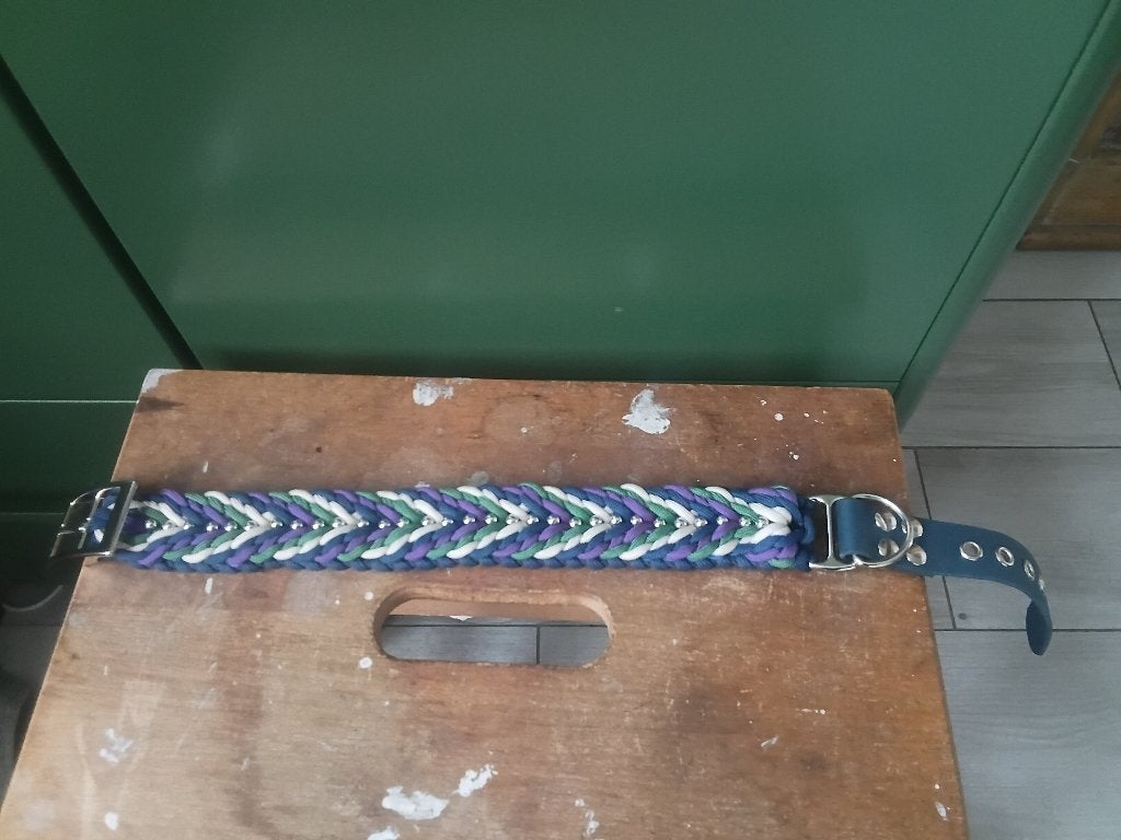 Halsband hond, Dieren en Toebehoren, Ophalen, Nieuw, Halsband