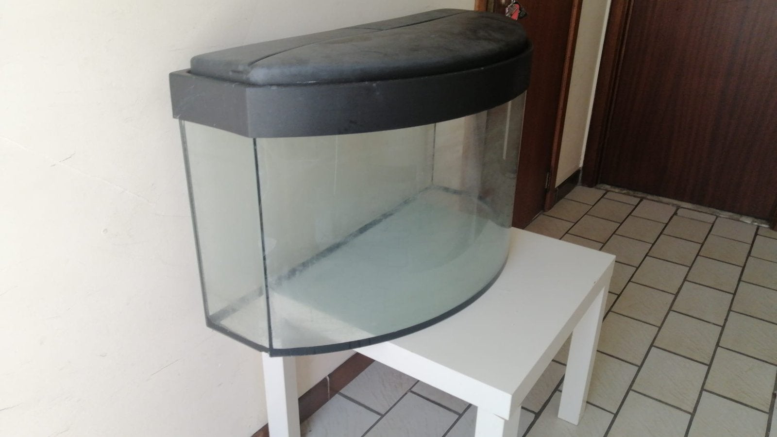 Aquarium, Enlèvement