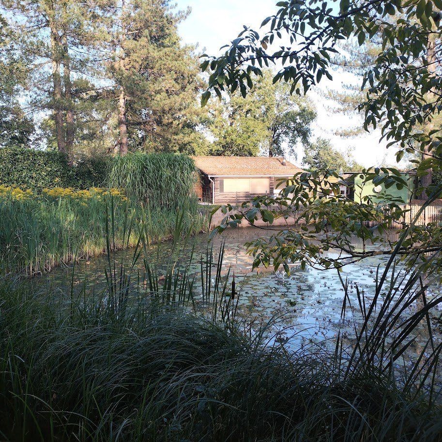 weekendverblijf met vijver, Bungalow, Provincie Antwerpen