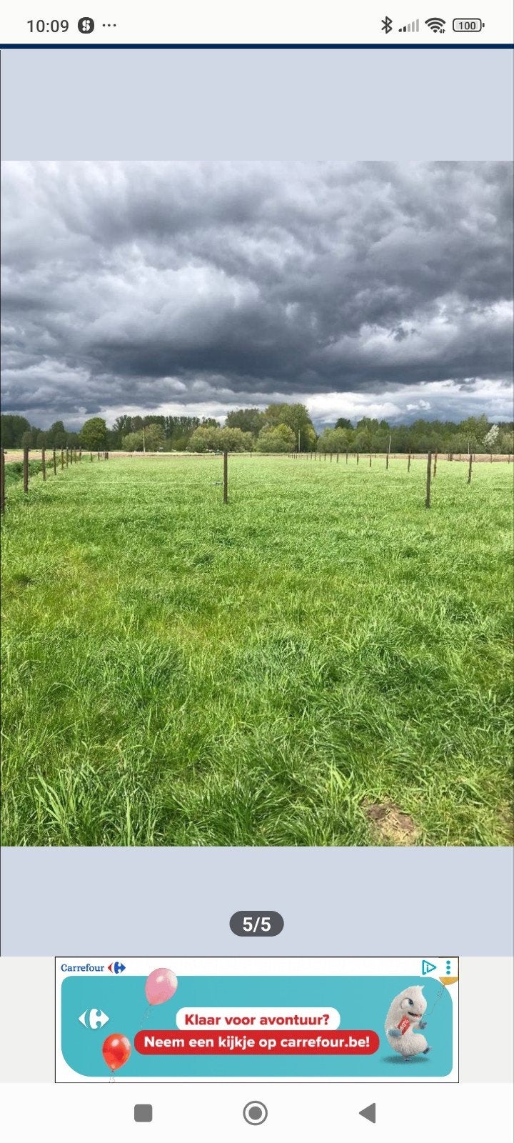 Weide te huur voor paarden, Tuin en Terras, Ophalen