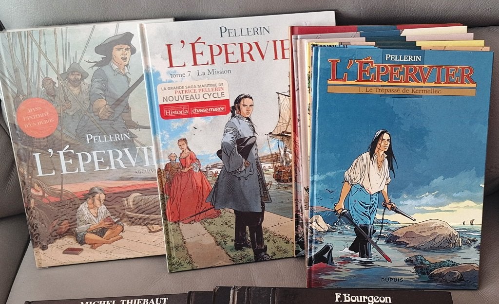 série bd l'épervier de Pellerin, Enlèvement