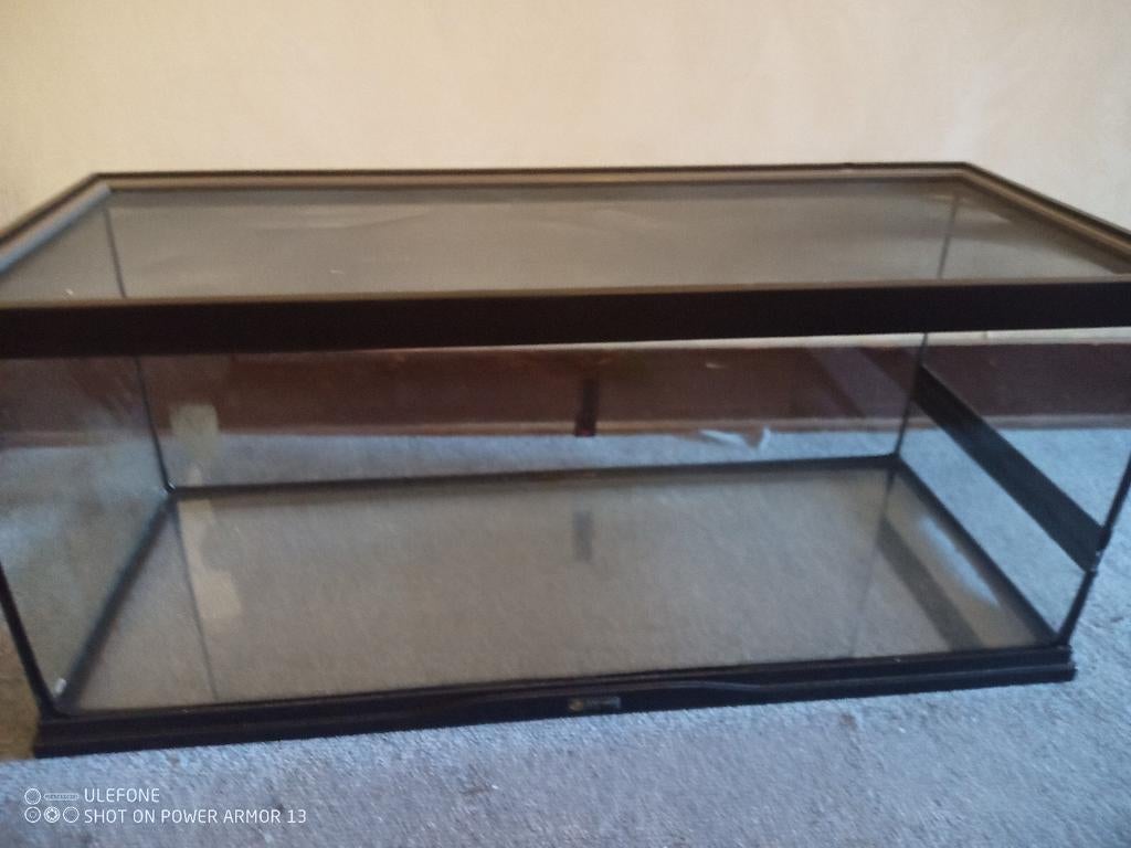 Aquarium terrarium, Dieren en Toebehoren, Ophalen