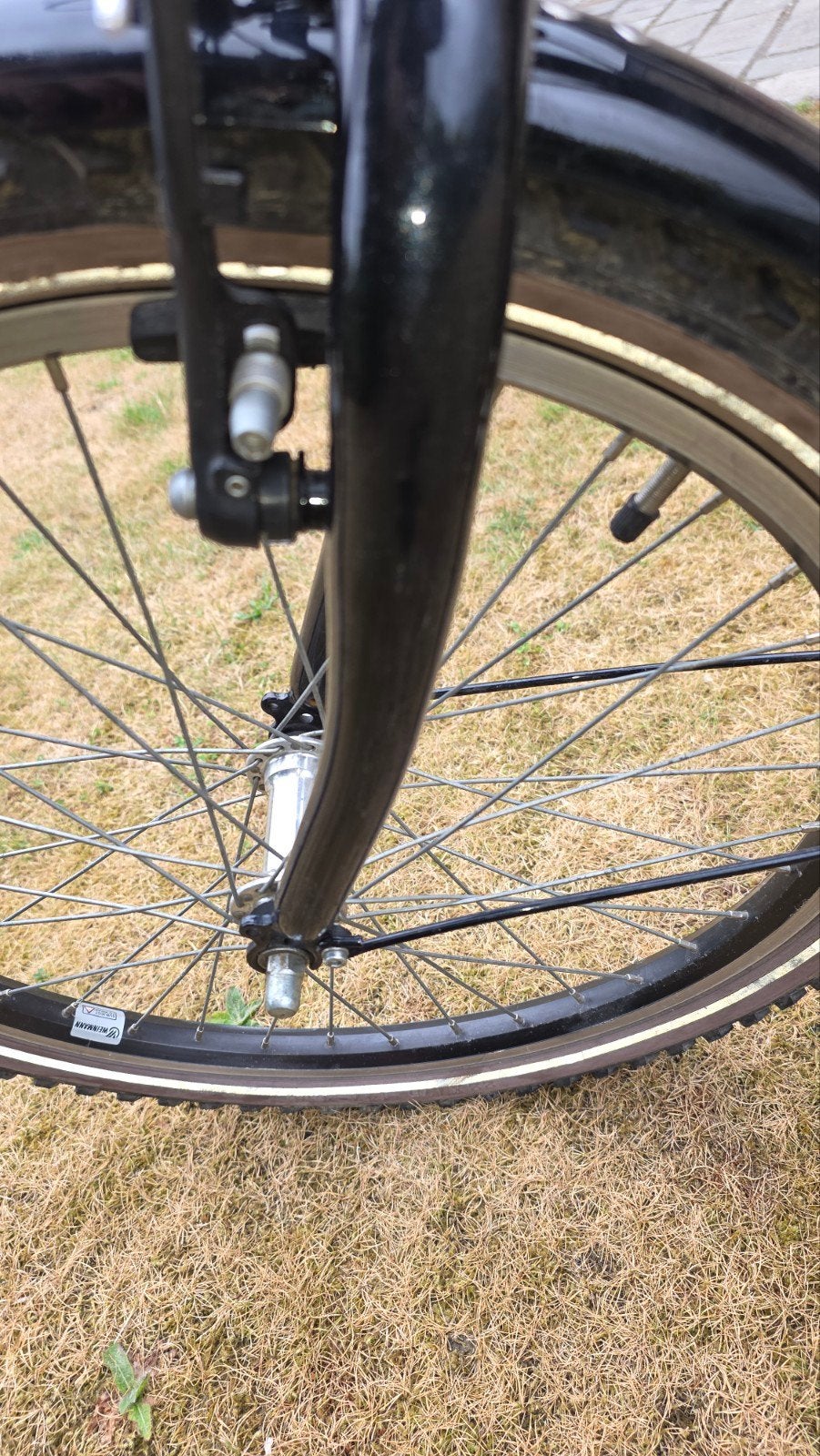 22 inch jongensfiets bfk urban grunge, Ophalen