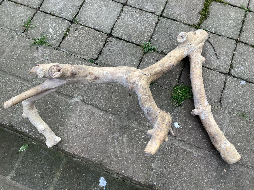 Drie java takken, Ophalen, Gebruikt, Kooi-accessoires