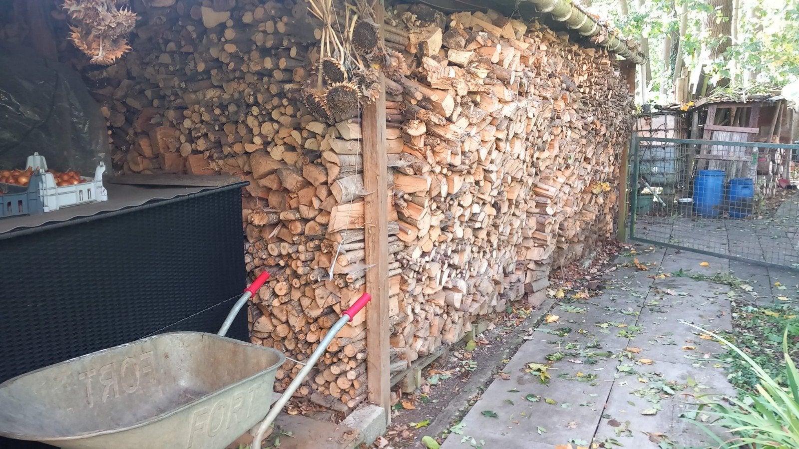Droog brandhout, Tuin en Terras, Ophalen, Overige houtsoorten, Blokken