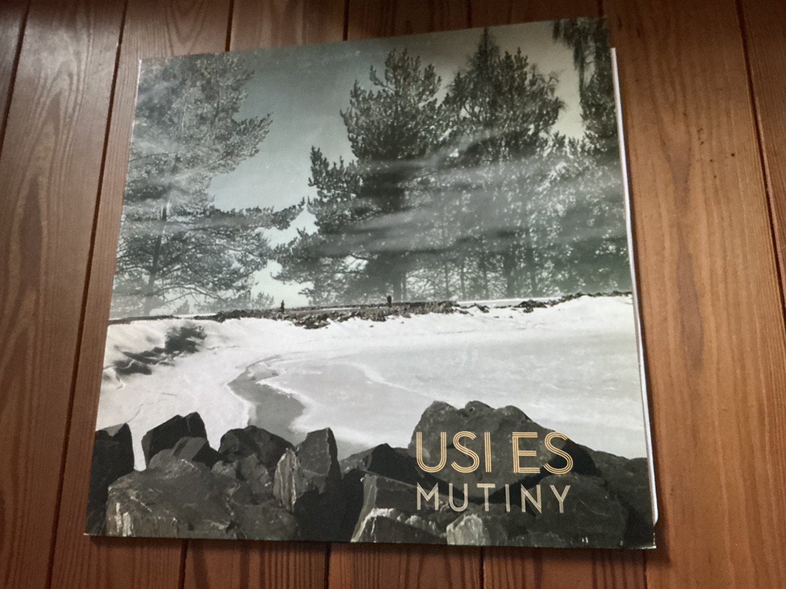12” Usi Es - Mutiny, Limited edition, Ophalen of Verzenden, Zo goed als nieuw