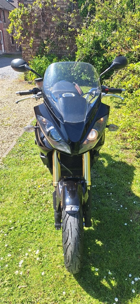 Tiger 1050, Permis Moto A, Tourisme, Occasion, Plus de 35 kW
