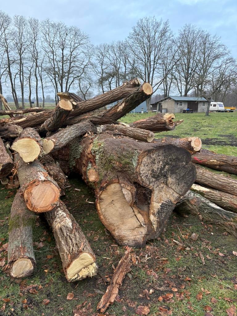 Brandhout te koop, 6 m³ of meer, Ophalen, Stammen