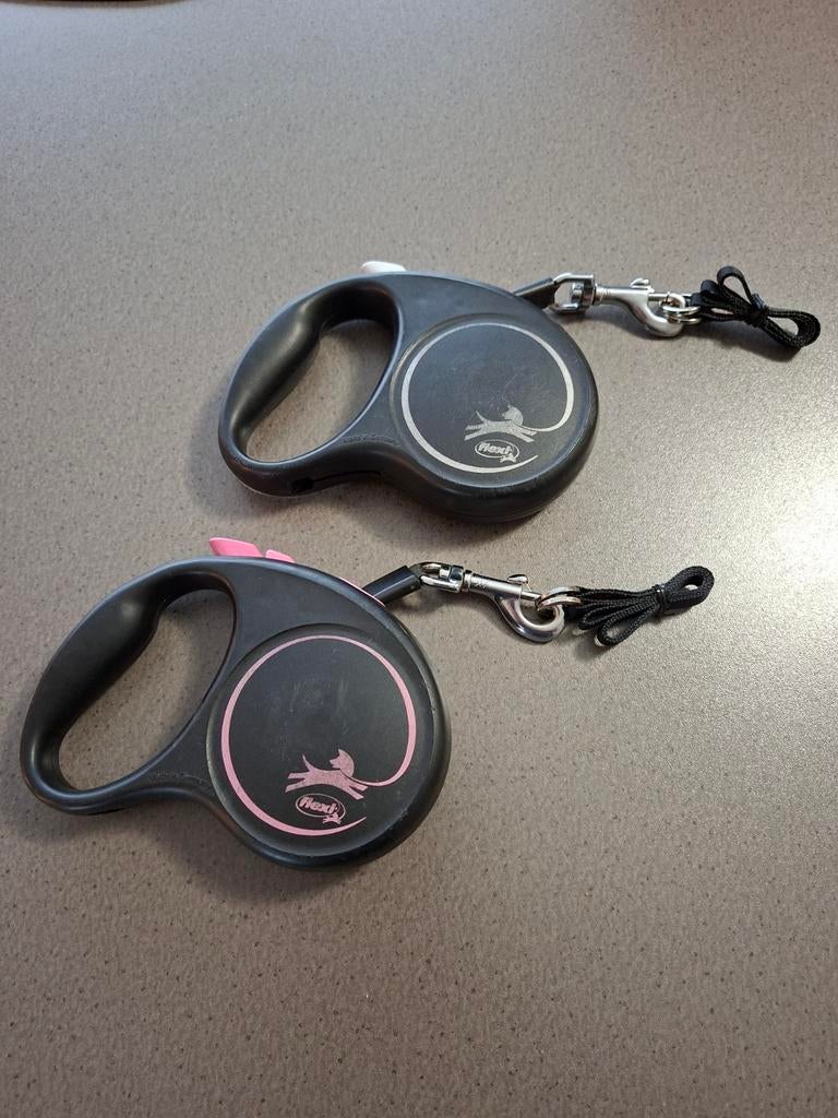 Oprolbare hondenriemen, Dieren en Toebehoren, Ophalen, Gebruikt, Hondenriem