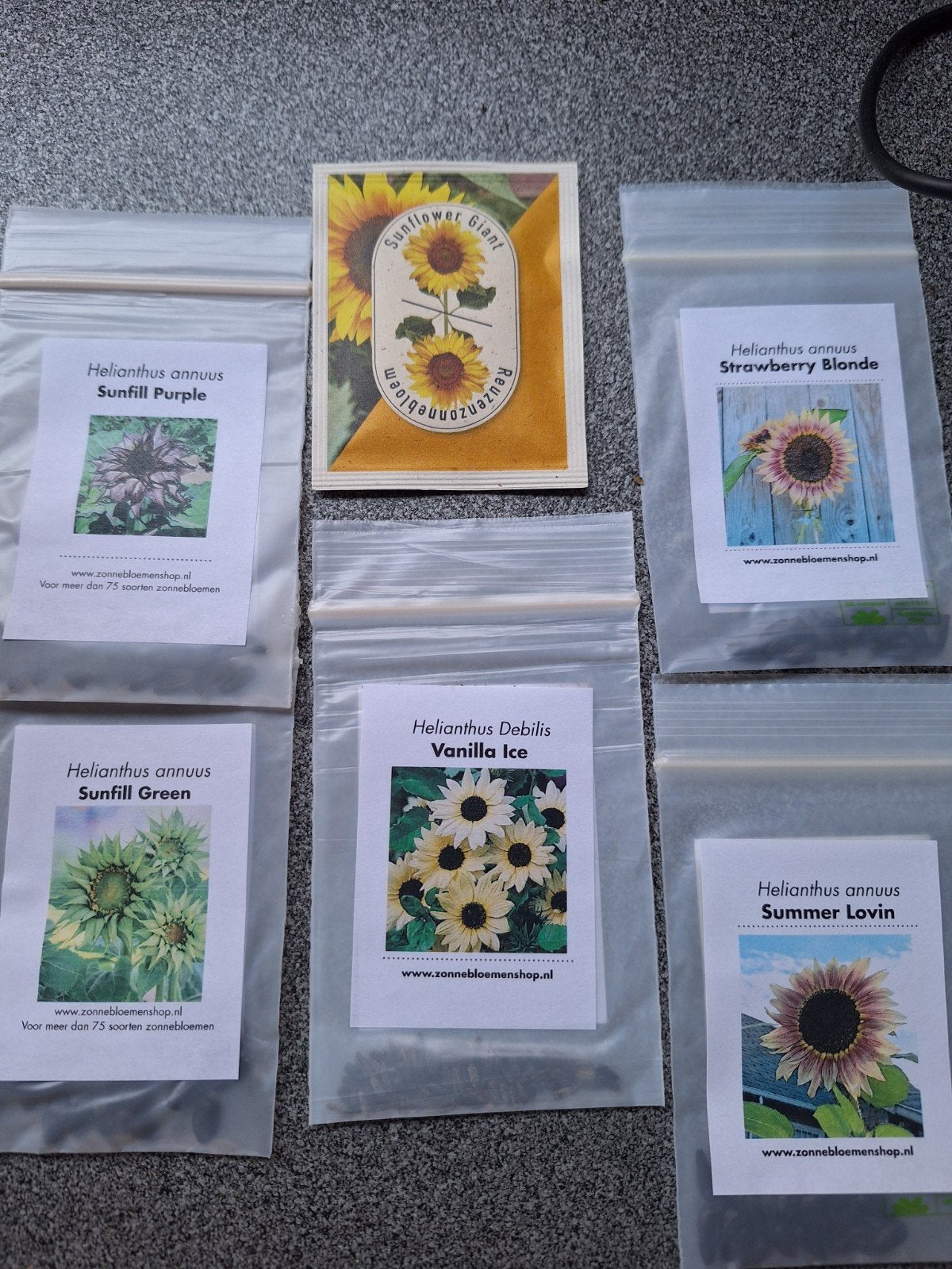 Zonnebloemzaden, Ophalen, Voorjaar, Volle zon, Zaad