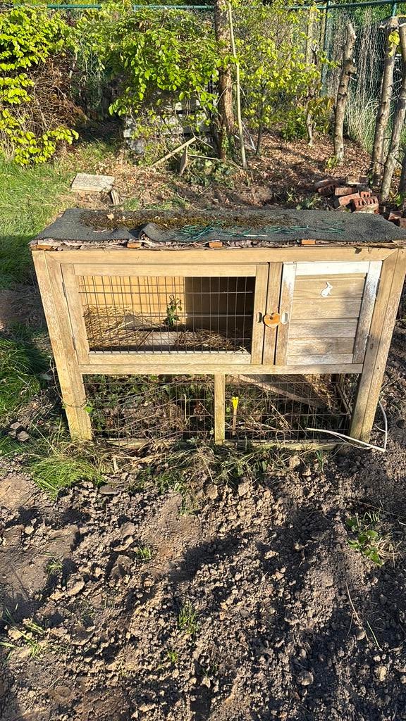 Cavia hok GRATIS, Dieren en Toebehoren, Ophalen, Gebruikt, Hok, Cavia