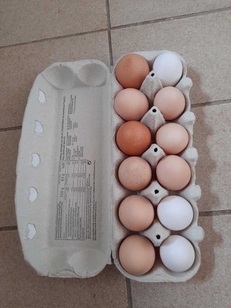 Verse kippeneieren te koop, Divers, Produits alimentaires, Enlèvement