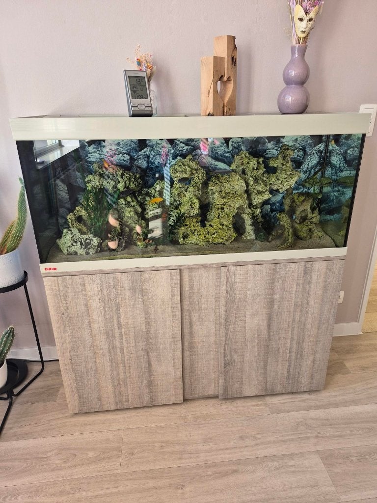 Aquarium EHEIN  L1m20 x B 40 x H 54, Poissons inclus, Aquarium d'eau douce rempli, Comme neuf, Enlèvement