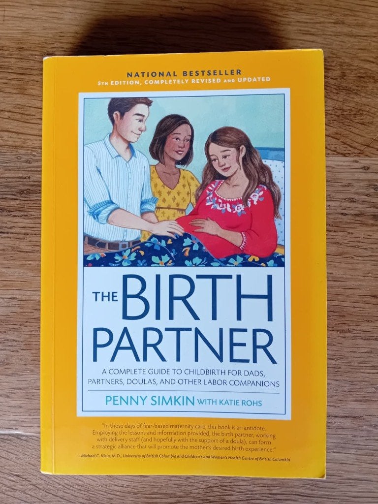 The Birth Partner, Livres, Grossesse & Éducation, Neuf, Grossesse et accouchement, Enlèvement