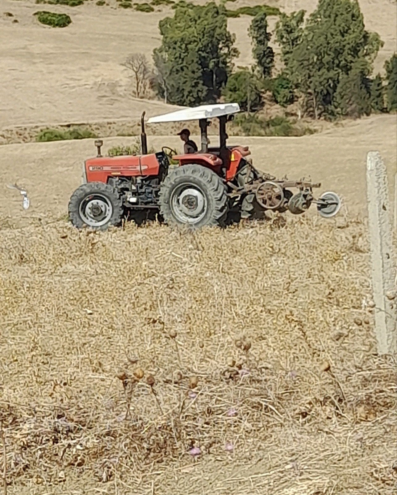Domaine agricole titrè de 5498m2 au Maroc à Tanger à vendre, Élevage