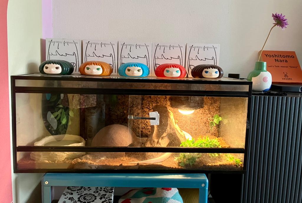 Zeer mooi terrarium in goede staat met toebehoren, Ophalen, Zo goed als nieuw