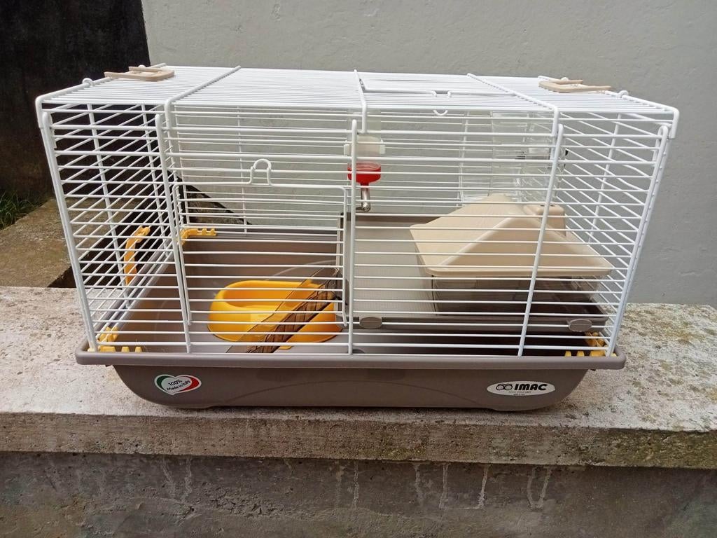 Cage rongeur avec accessoires., Enlèvement, Cage