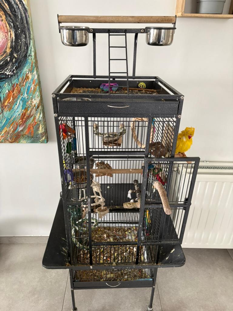 Vogelkooi te koop, Ophalen, Zo goed als nieuw, Metaal, Vogelkooi