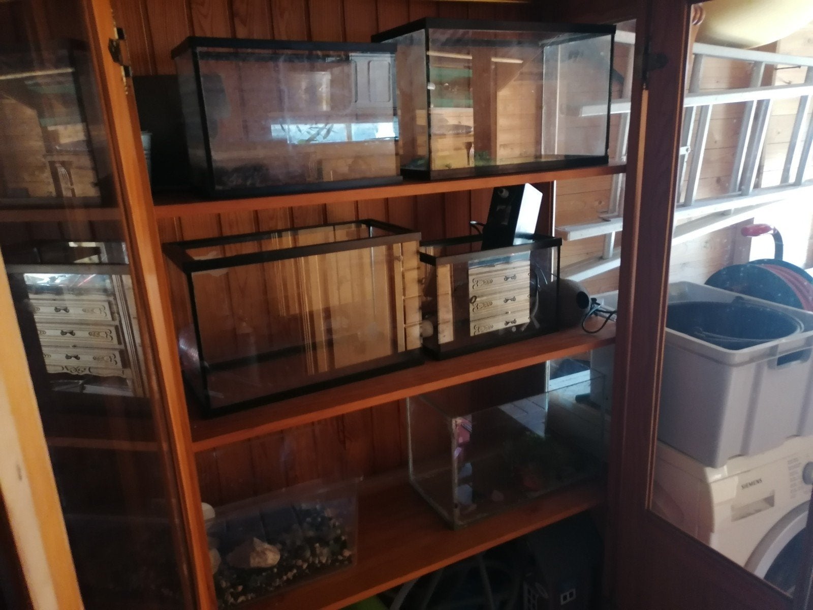 aquariums kweekbakken 6 stuks, Dieren en Toebehoren, Ophalen
