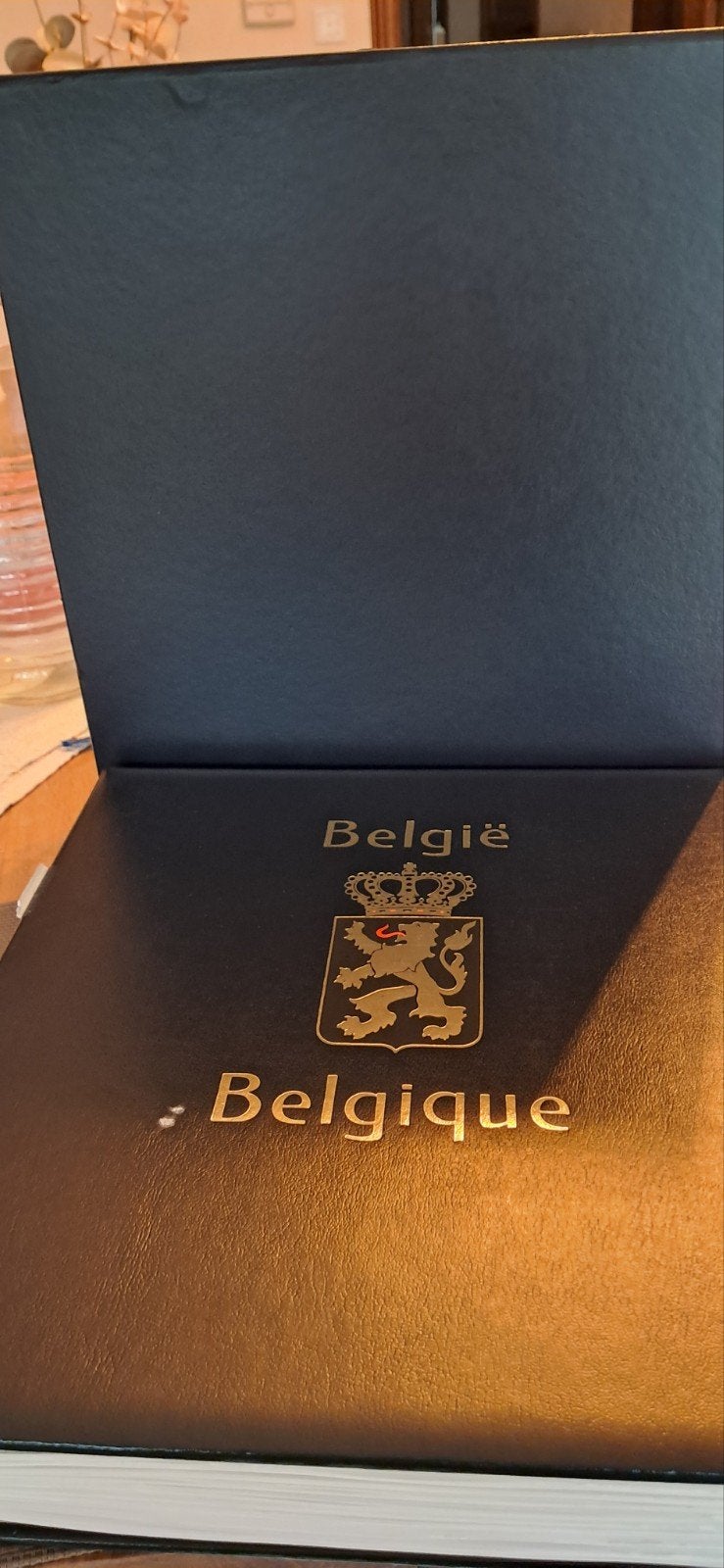 Luxe Davo Album van Belgie, Postzegels en Munten, Ophalen