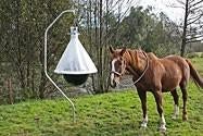 Dazenval / GRATIS LEVERING, Dieren en Toebehoren, Stalling en Weidegang, Stalling