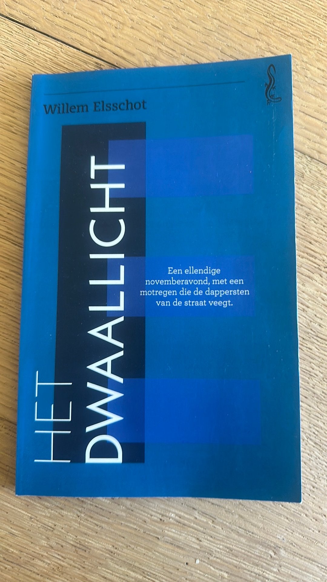 Willem Elsschot - Het dwaallicht, Livres, Enlèvement ou Envoi, Willem Elsschot