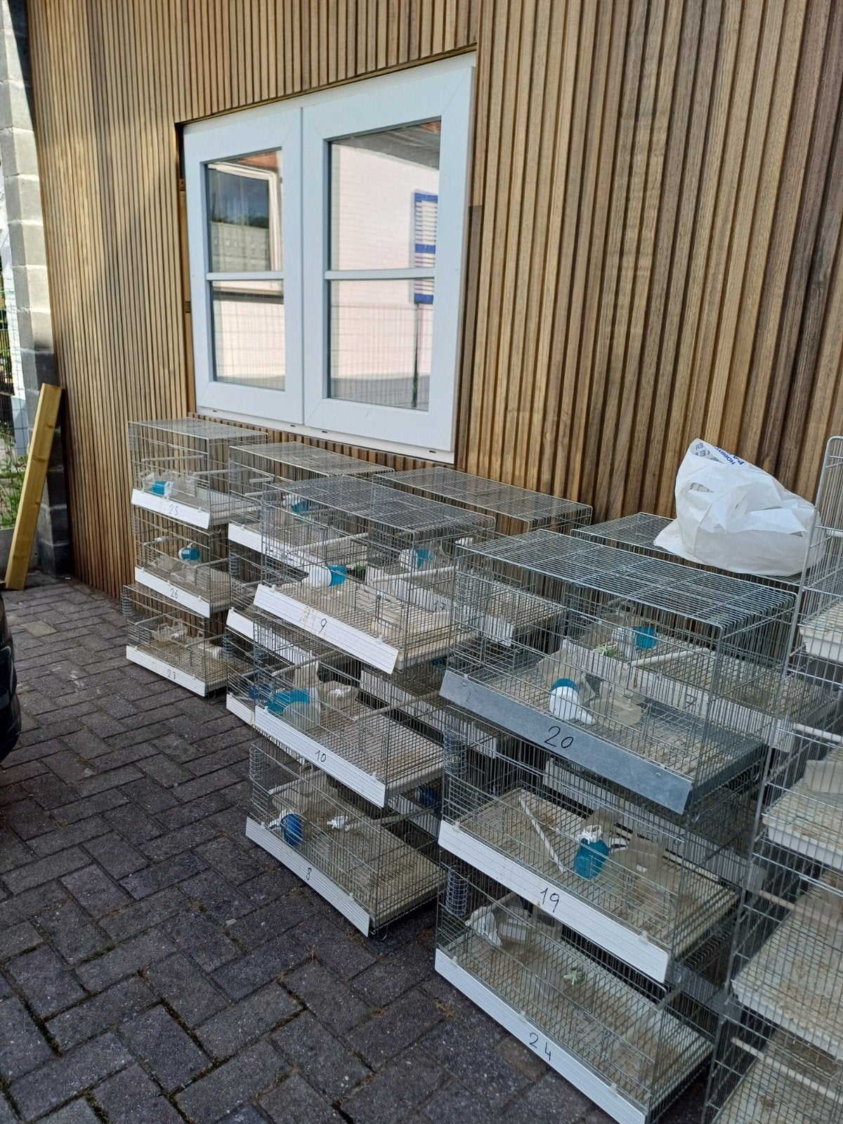 Cages d'élevage canaris, Enlèvement ou Envoi