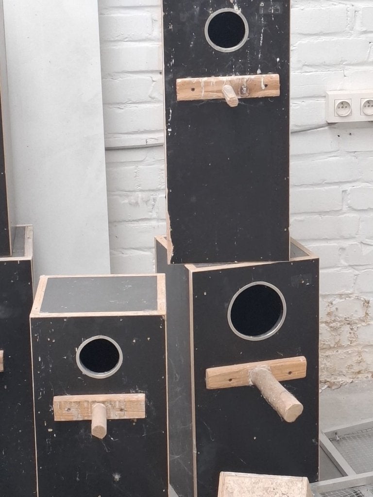 vogelnestkast, Dieren en Toebehoren, Vogels | Toebehoren, Ophalen, Gebruikt, Overige typen