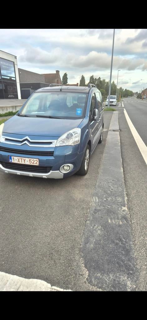 Berlingo, Auto's, Citroën, Euro 5, Te koop, Berlingo, Bedrijf