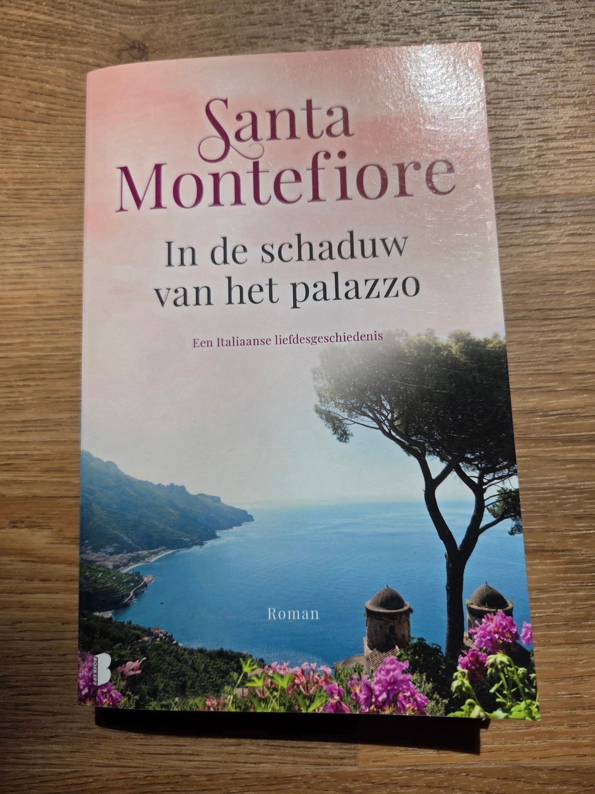 Santa Montefiore - In de schaduw van het palazzo, Livres, Chick lit, Enlèvement ou Envoi