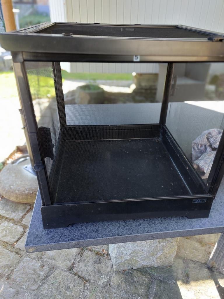 Insekten bak, Animaux & Accessoires, Reptiles & Amphibiens | Accessoires, Enlèvement