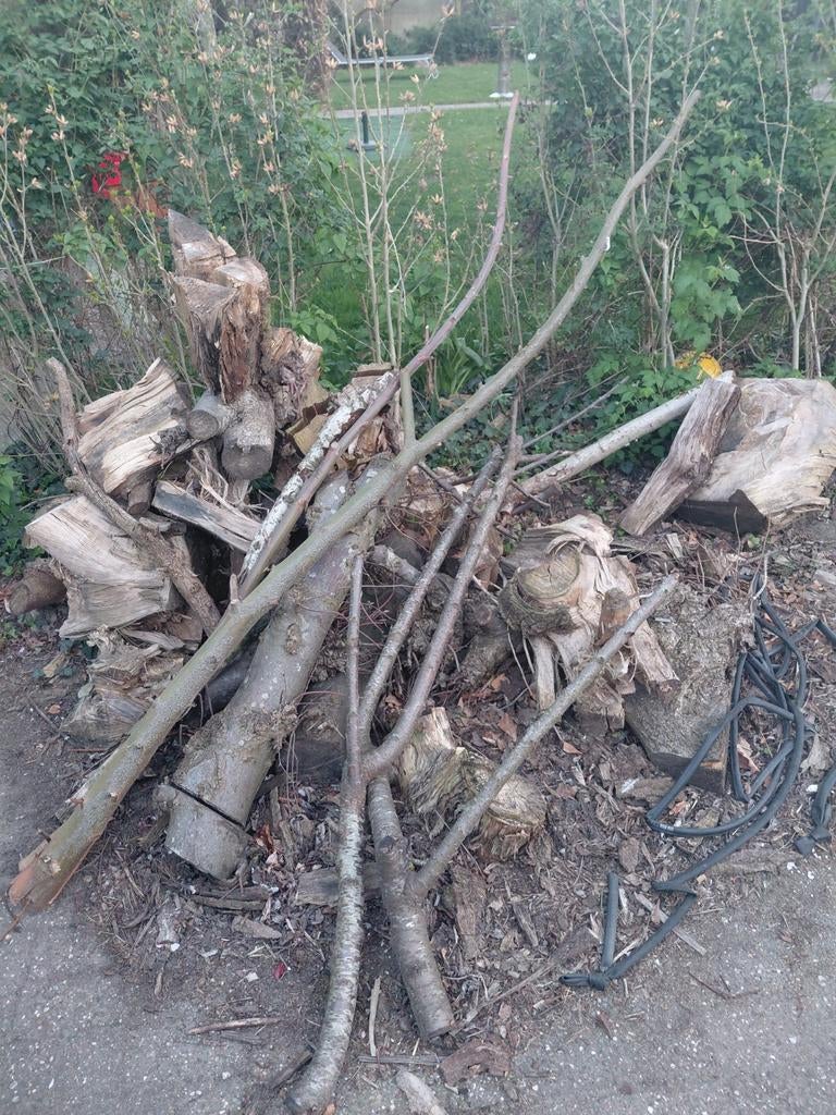 brandhout ideaal voor kampvuur, Minder dan 3 m³, Ophalen, Overige houtsoorten, Blokken