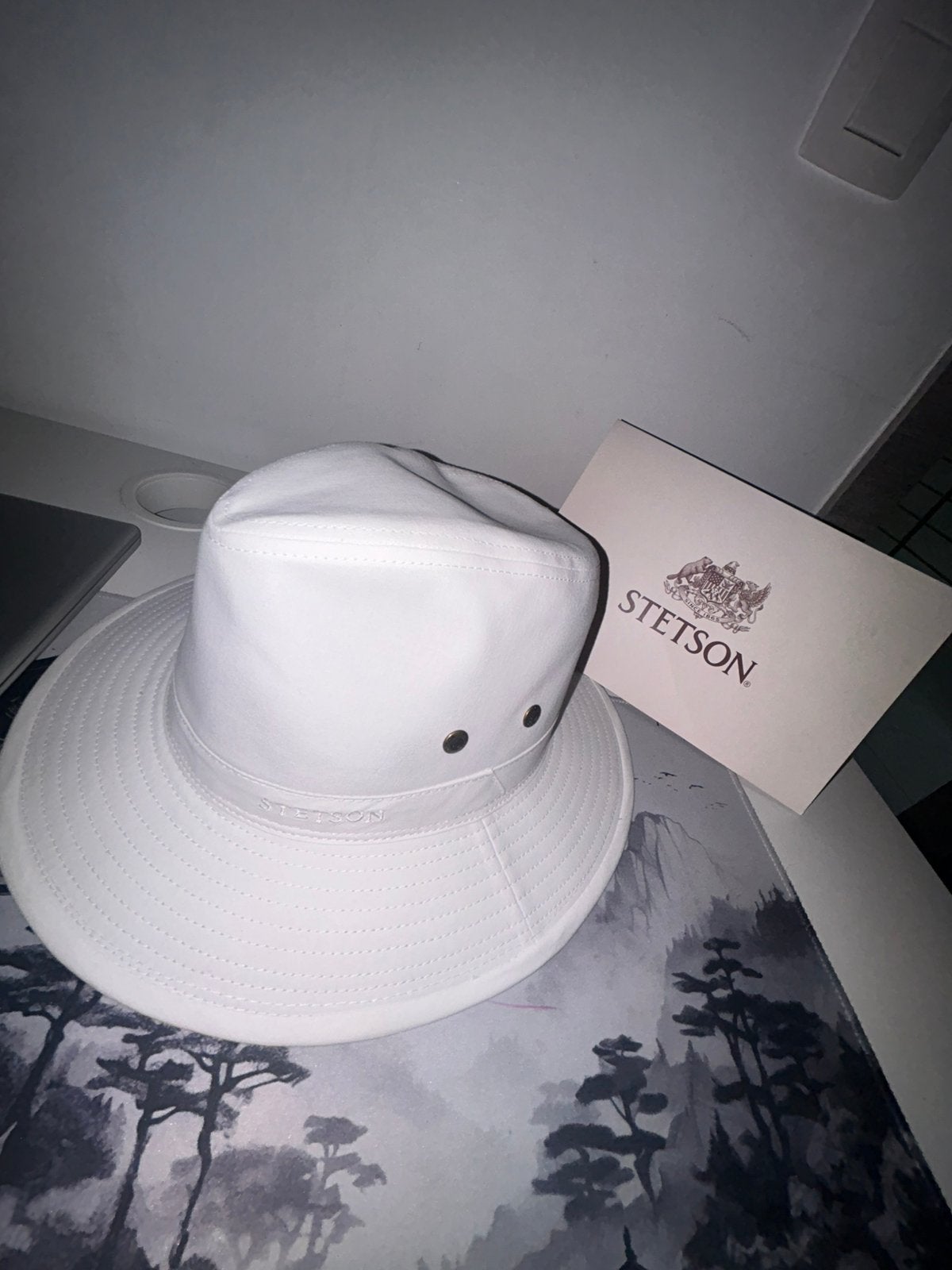 Chapeau stetson, Vêtements | Hommes, Chapeaux & Casquettes, Enlèvement ou Envoi, Neuf, 57 cm (M, 7⅛ pouces) ou moins, Chapeau