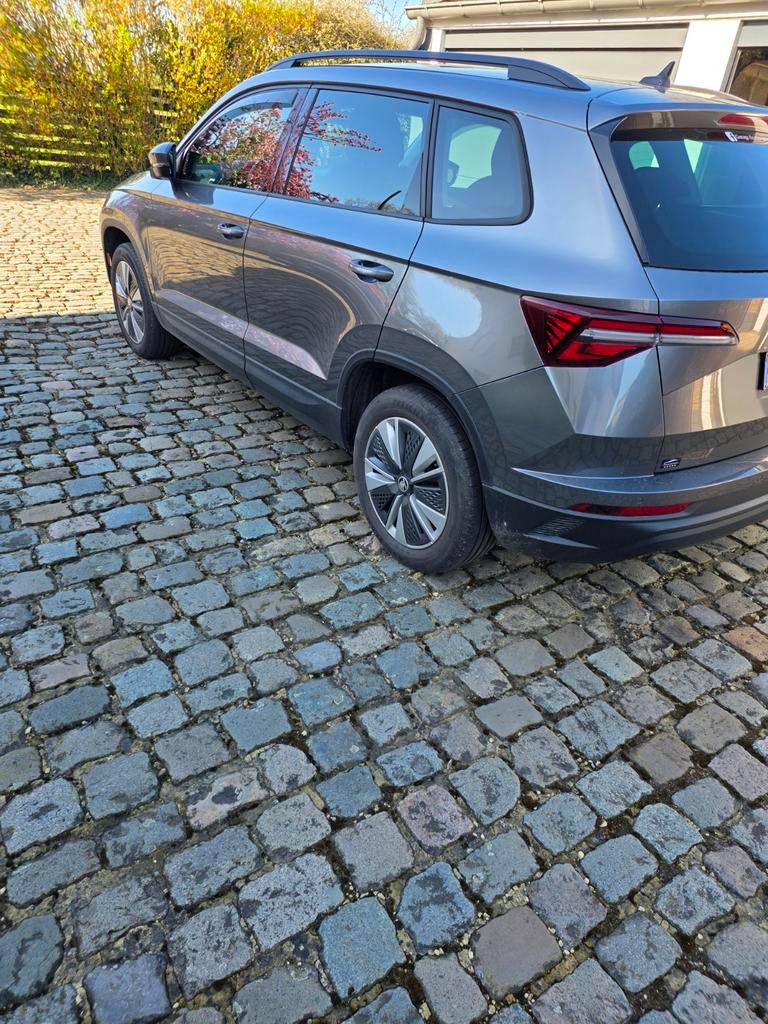 Skoda Karok, Achat, Karoq, Automatique, Particulier