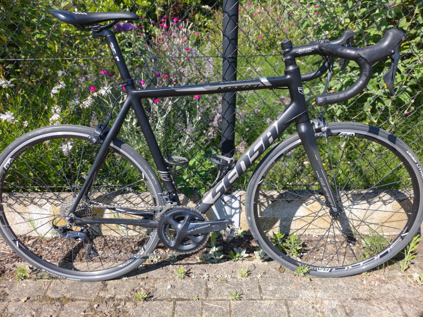 Sensa Modena, Fietsen en Brommers, Ophalen, Heren, Aluminium, Zo goed als nieuw