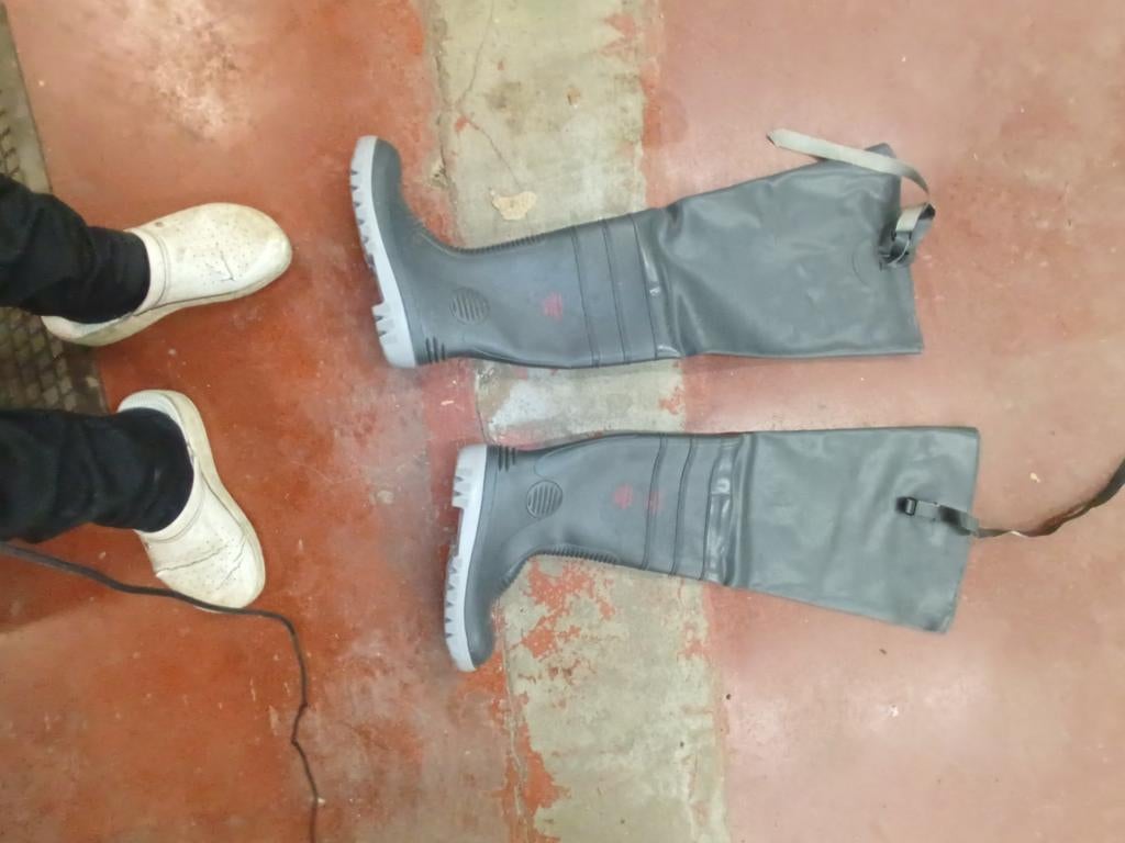 Laarzen voor in vijver, Enlèvement, Neuf, Femmes, Bottes