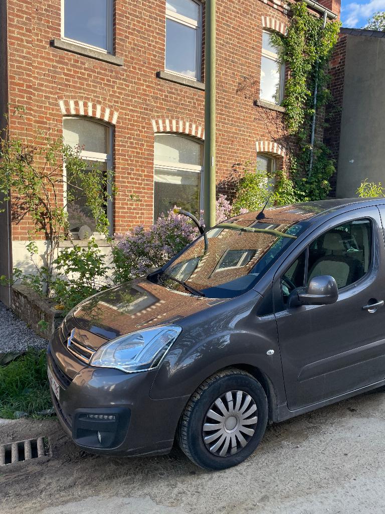 Citroen Berlingo, Argent ou Gris, Achat, Euro 6, 72 kW