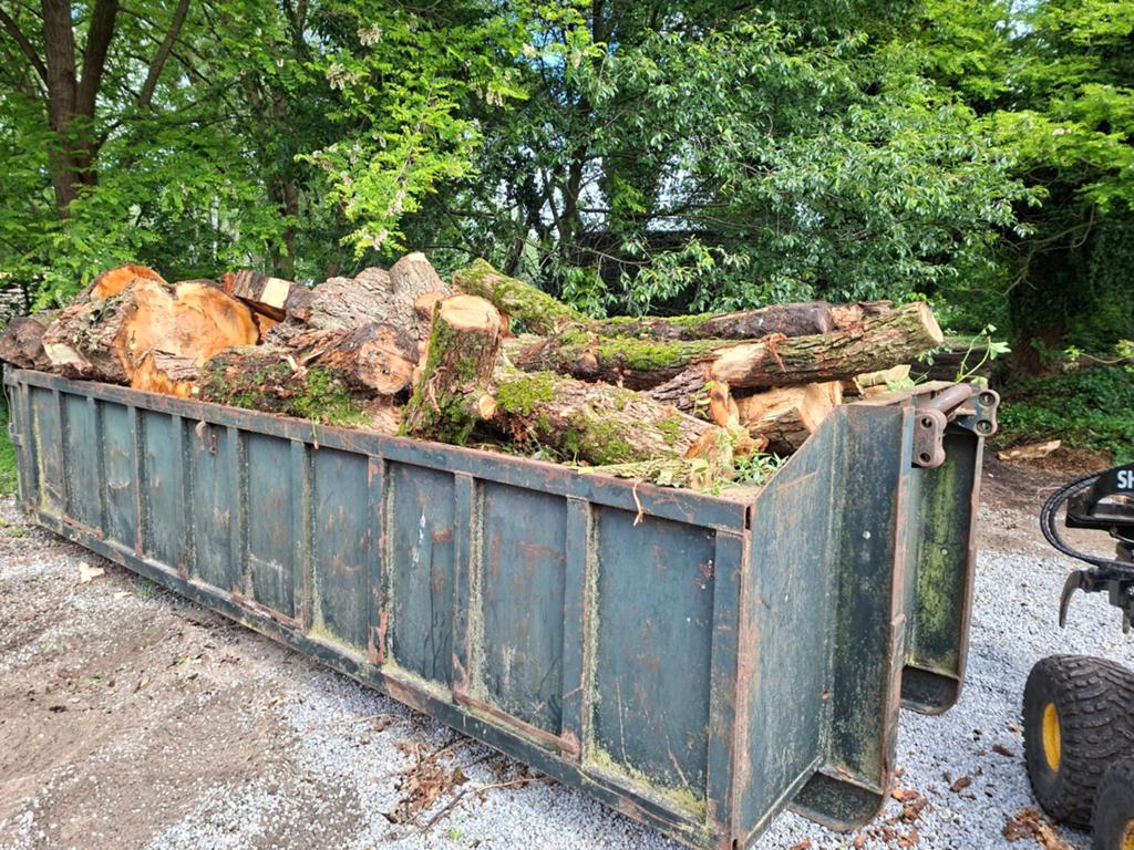 Wilg brandhout geleverd, Jardin & Terrasse, Bois de chauffage, Enlèvement