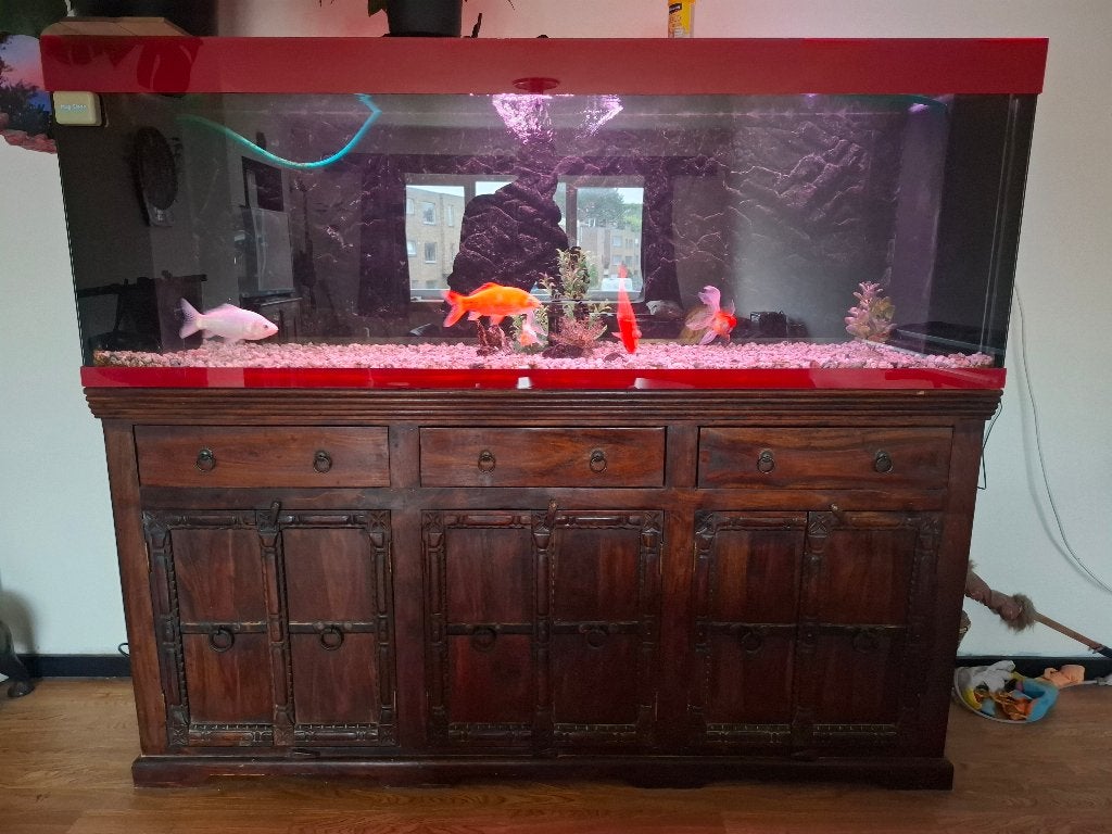 Aquarium, Dieren en Toebehoren, Ophalen, Inclusief deksel