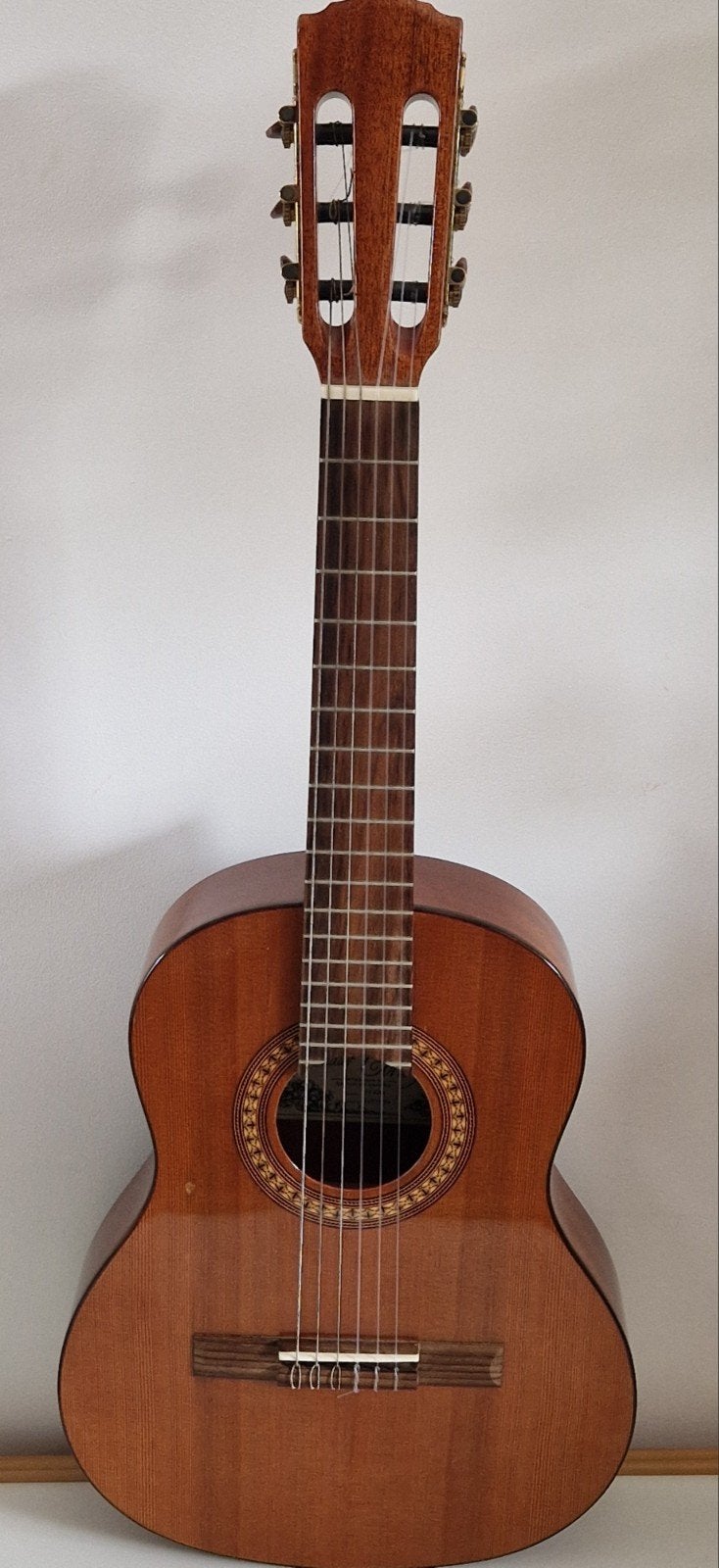 Salvador Cortez 1/2 gitaar - model cc-22BB, Muziek en Instrumenten, Ophalen, Gebruikt